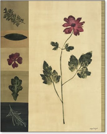 Framed Patchwork Flower Study I Print