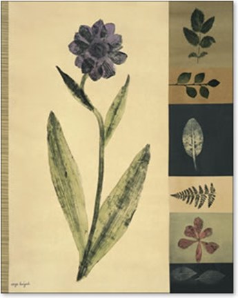 Framed Patchwork Flower Study II Print