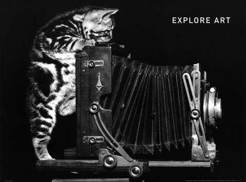 Framed Explore Art Print