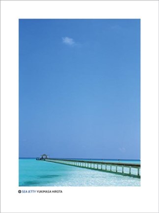 Framed Sea Jetty Print