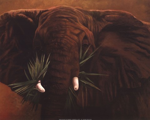 Framed Elephant Grande Print