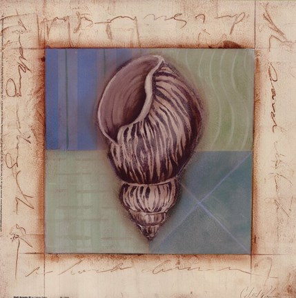 Framed Shell Accents III Print