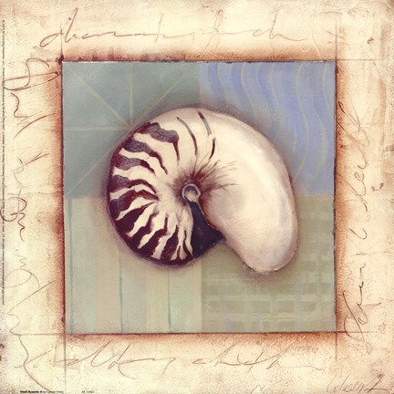 Framed Shell Accents II Print