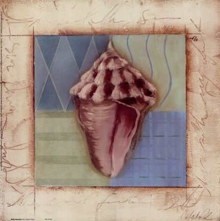 Framed Shell Accents I Print