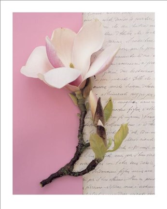 Framed Emma's Garden Flowering Current Print