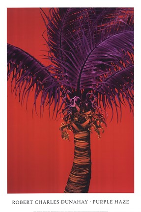 Framed Purple Haze Print