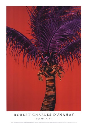 Framed Purple Haze Print