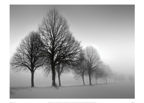 Framed Winter Trees III Print