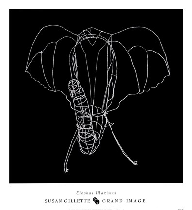 Framed Elephas Maximus Print