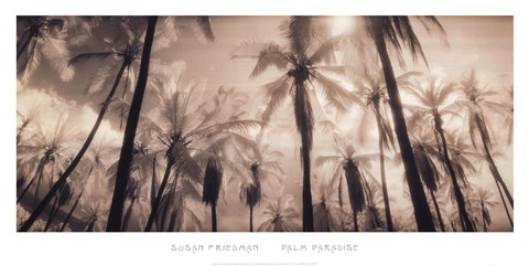 Framed Palm Paradise Print