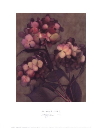 Framed Autumn Kisses II Print