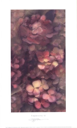 Framed Tapestry II Print