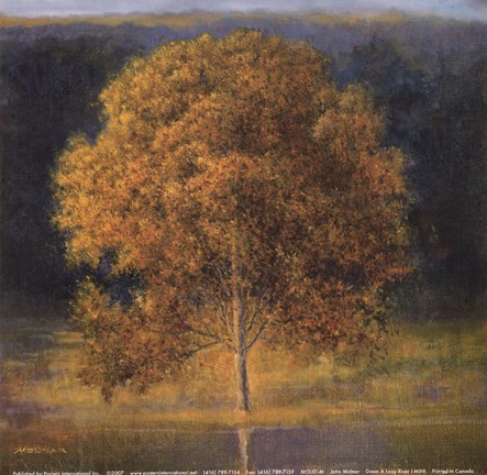 Framed Down The Lazy River #1 Print