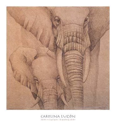 Framed Elefantes En El Papel Quatro Print