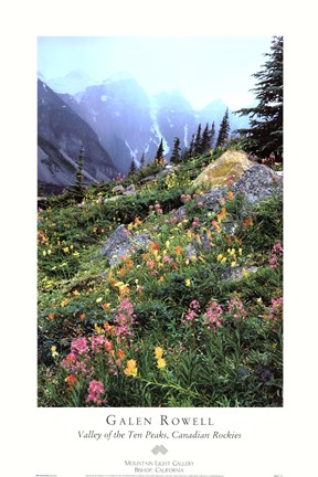 Framed Valley Of The Ten Peaks Print
