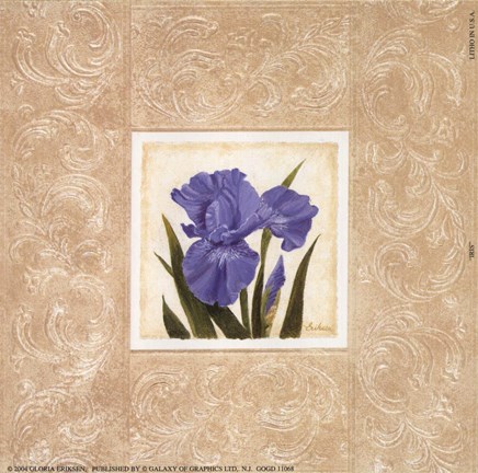 Framed Iris Print
