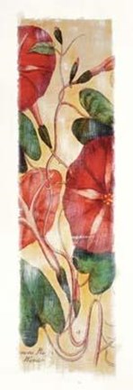 Framed Ipomoea Purga Print