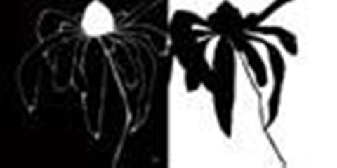 Framed Juxtapose Print