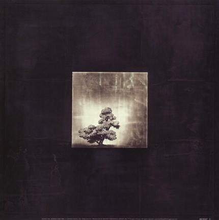 Framed Bonsai Cave Tree Print