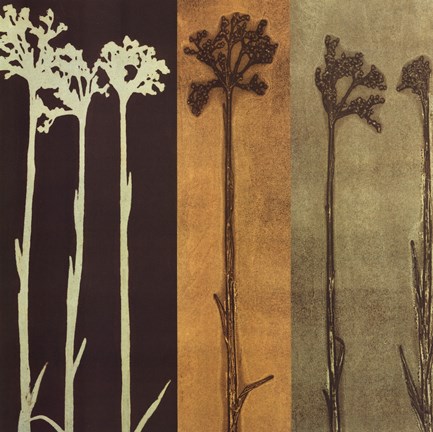 Framed Sepia Sunset Print