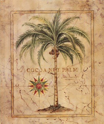 Framed Cocoanut Palm Print