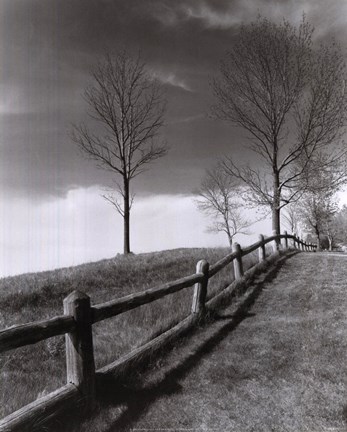 Framed Fences And Trees, Empire, Michigan Print