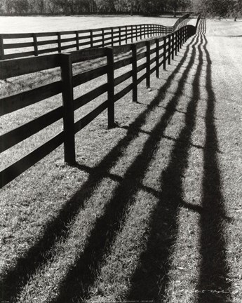 Framed Fences And Shadows, Florida Print
