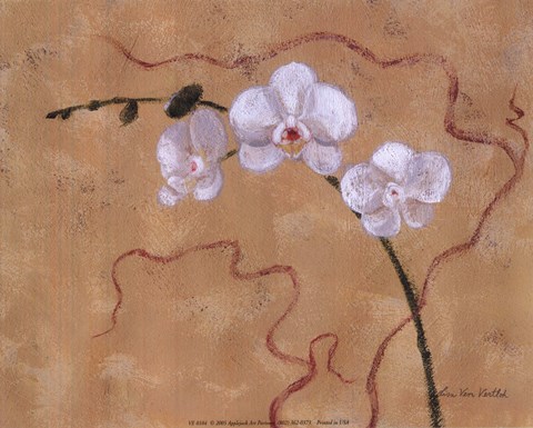 Framed Morning Orchids Print