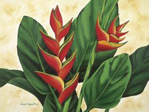 Framed Tropical Beauty I Print