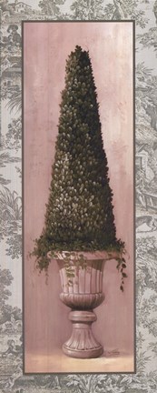Framed Topiary and Toile ll Print