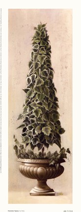 Framed Florentine Topiary l Print
