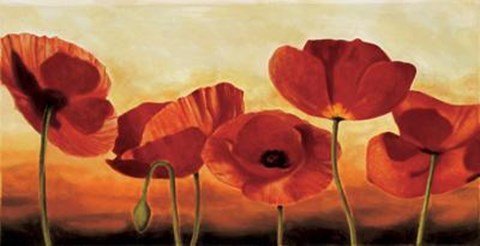 Framed In The Sun Print