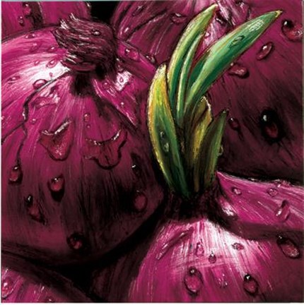 Framed Onions Print