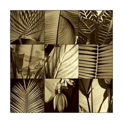Framed Tropical Leaves I Print