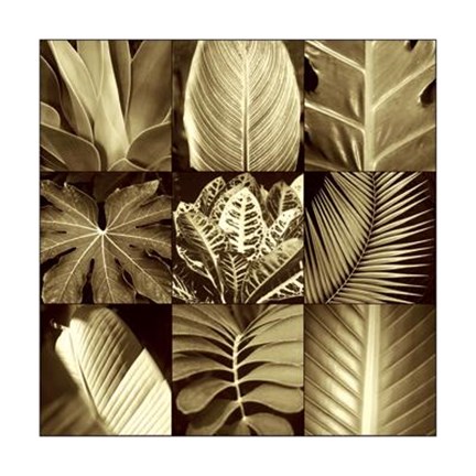 Framed Tropical Leaves II Print