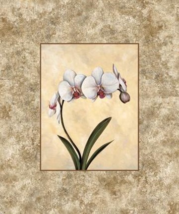 Framed Perfection I Print