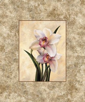 Framed Perfection II Print