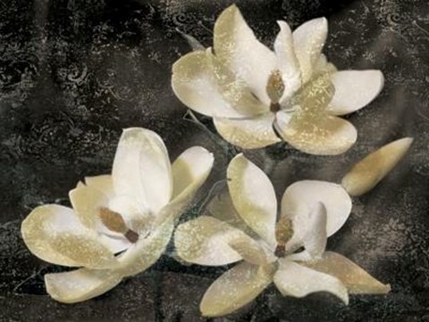 Framed Magnolia Tree Print