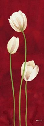 Framed Danza Di Tulipani Print