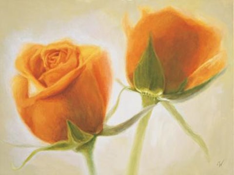 Framed Evanescence II Print