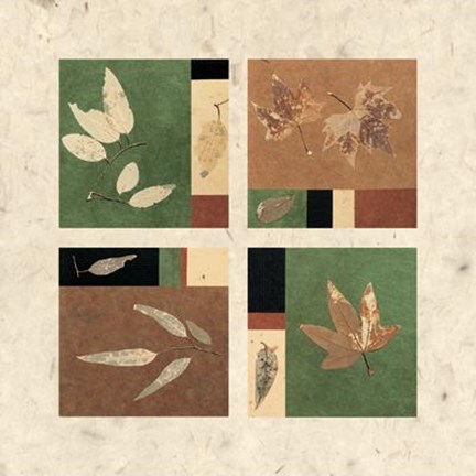 Framed Nature's Seasons I Print