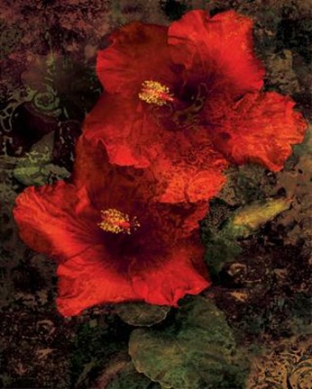 Framed Hibiscus II Print