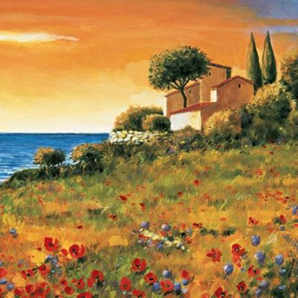 Framed Sunlight Coast Print