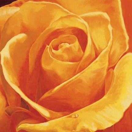 Framed Gaiezza Print