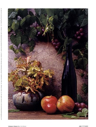 Framed Vintners Choice ll Print