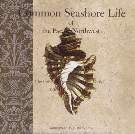 Framed Seashore Life Print