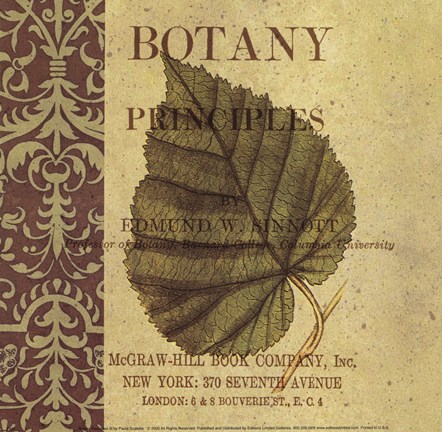 Framed Botany Principles III Print