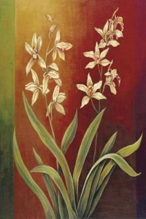 Framed Cymbidium II Print