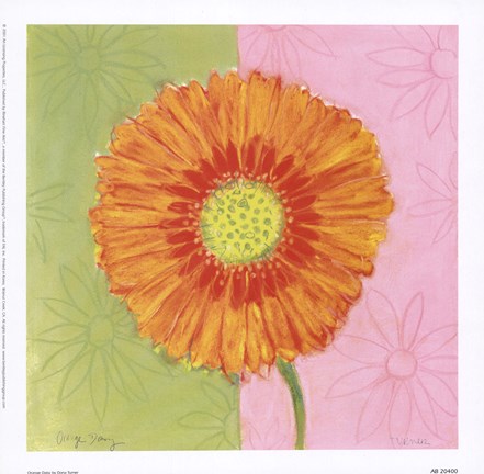 Framed Orange Daisy Print