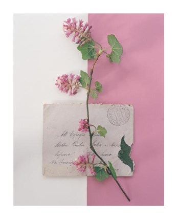 Framed Emma's Garden Flowering Current Print